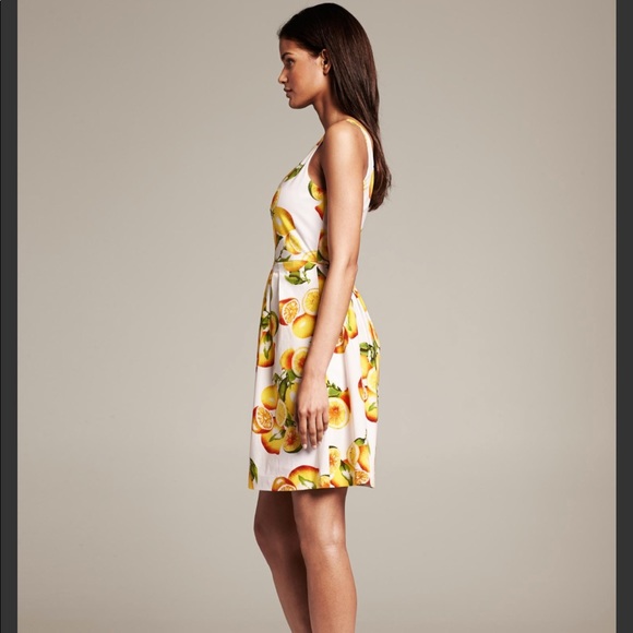 Banana Republic | Lemon print dress - Picture 2 of 7
